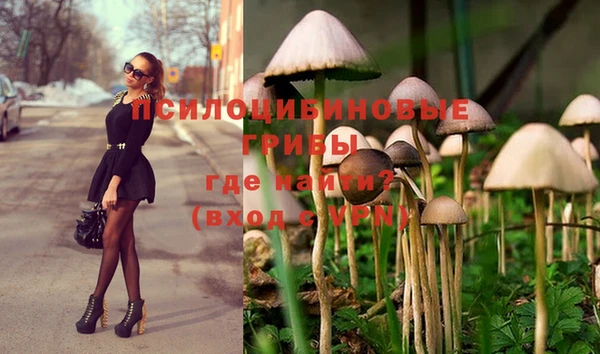наркотики Кодинск